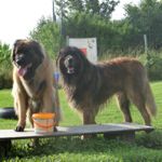 Dinner f&uuml;r Zwei